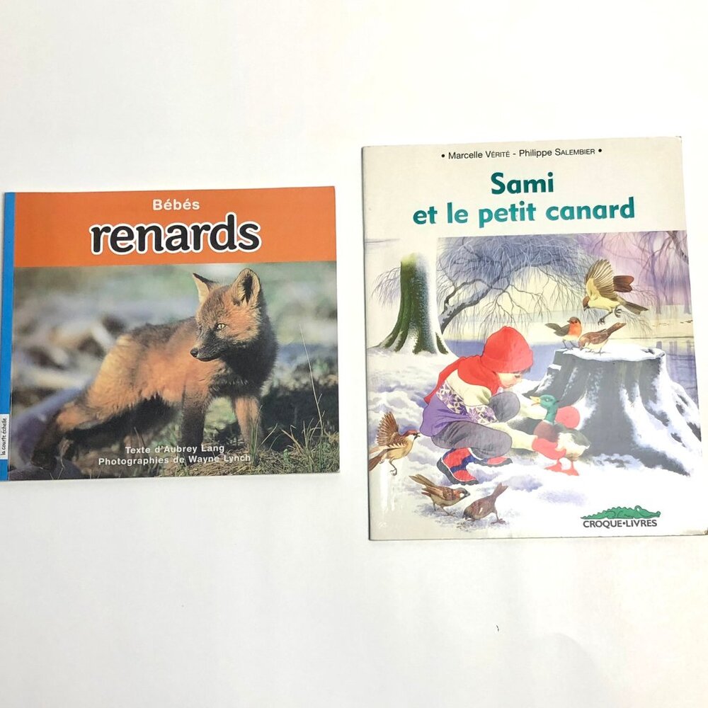 Children's Books in French 🦊 Lot 2 livres jeunesse en francais sur les renards
